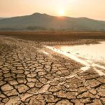 El Niño 2026 buat sawah kering dan ancam produksi pangan Indonesia