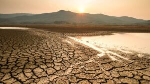 Artikel 5 El Niño 2026 buat sawah kering dan ancam produksi pangan Indonesia